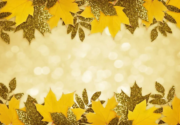 Φύλλα του κίτρινου και του χρυσού φθινοπώρου στα σύνορα — Φωτογραφία Αρχείου