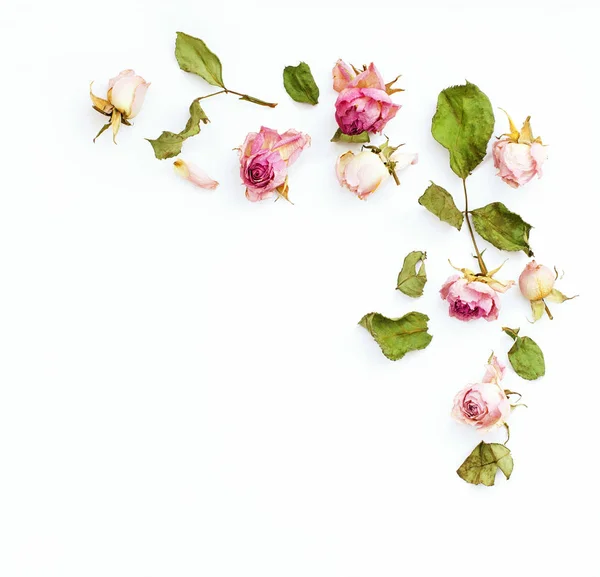Dose séchée rose fleurs arrangement coin — Photo