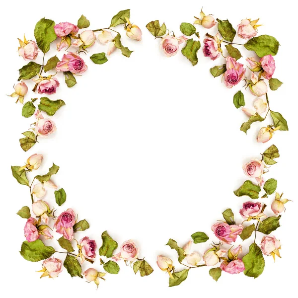 Getrocknete rosa Rose Blumen Rahmen — Stockfoto