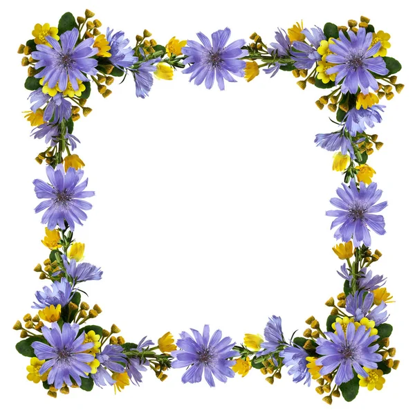 Wild flowers in a frame — Stock Photo, Image