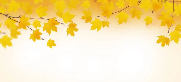 Φθινοπωρινά κλαδιά με κίτρινα φύλλα — Φωτογραφία Αρχείου