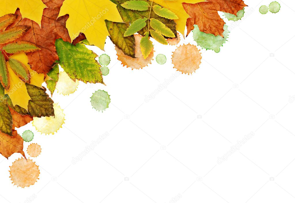 Autumn background with dried leaves and paint blots in a corner 