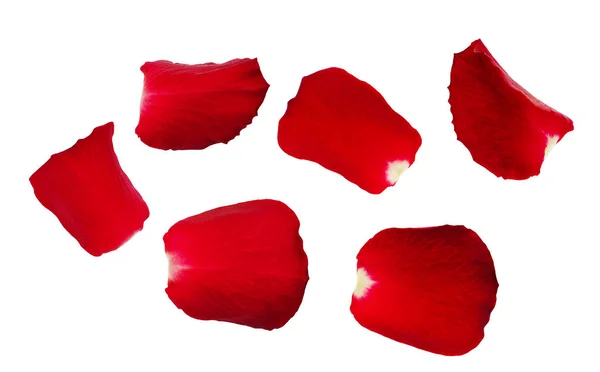 Σύνολο κόκκινα ροδοπέταλα — Φωτογραφία Αρχείου