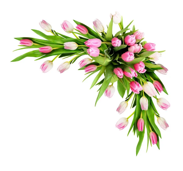 Rosa Tulpenblumen Ecke Anordnung — Stockfoto