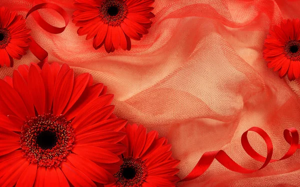 Red Gerbera Flowers Silk Ribbons Draped Fabric Valentine Day Background — Stock Photo, Image