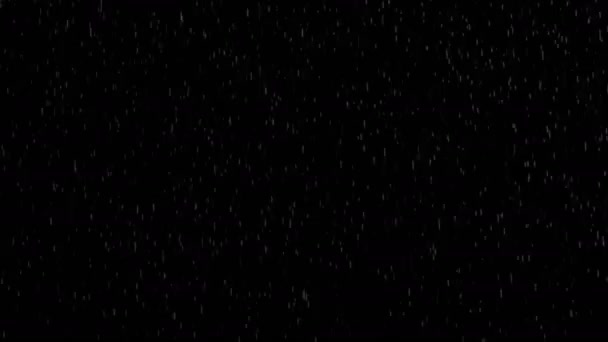 Pioggia 4k Lento - Sfondo — Video Stock