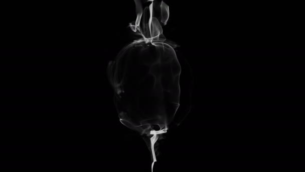 Кольца дыма 4K — стоковое видео