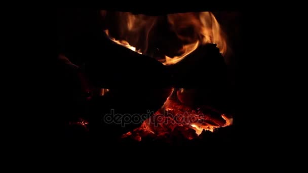 Helder het verbranden van hout in een oven — Stockvideo