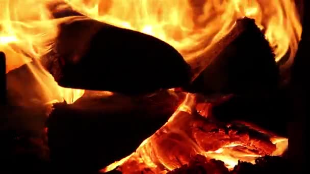 Helder het verbranden van hout in een oven — Stockvideo