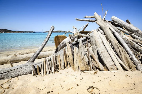 Troncos viejos en la playa — Foto de Stock