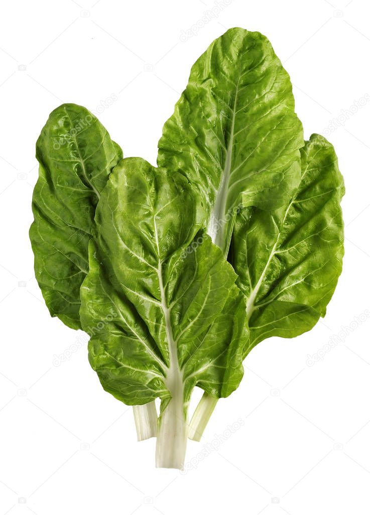 chard leaves isolated
