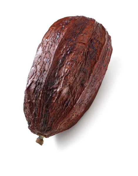 kakao pod izole kurutulmuş