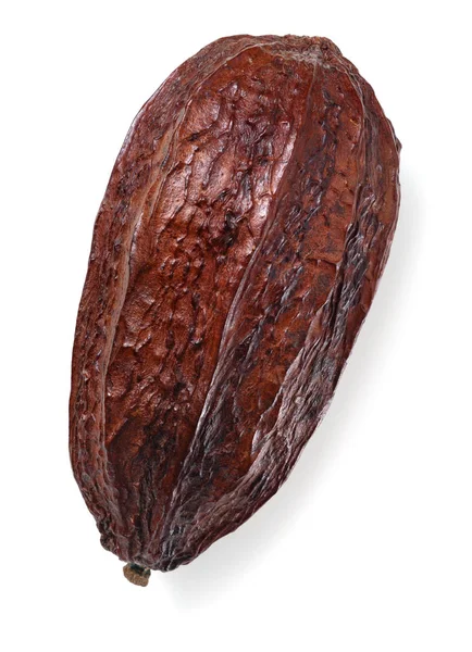 kakao pod izole kurutulmuş