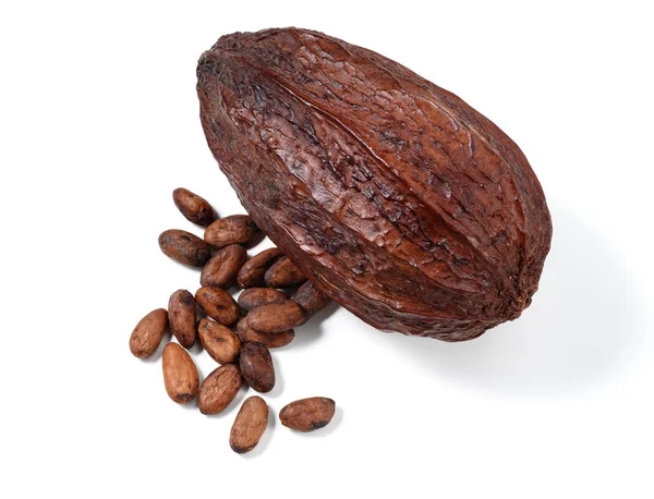 Cocoa beans and pod — Stock Photo, Image