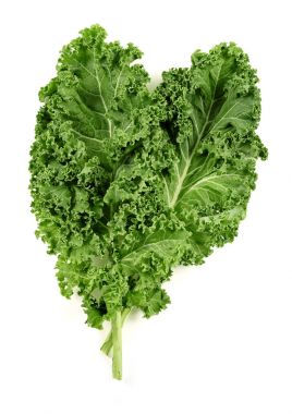 kale leaves isolated clipart