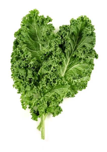 Kale leaves isolated — Stock Photo, Image