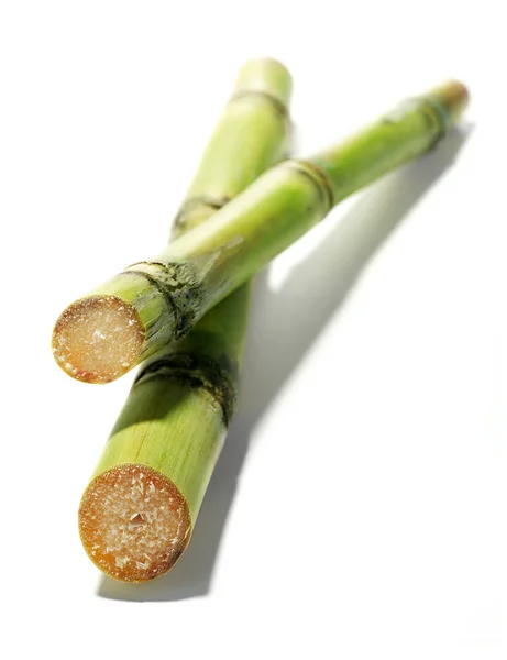 Organiczne trzciny cukrowej na białym tle — Zdjęcie stockowe