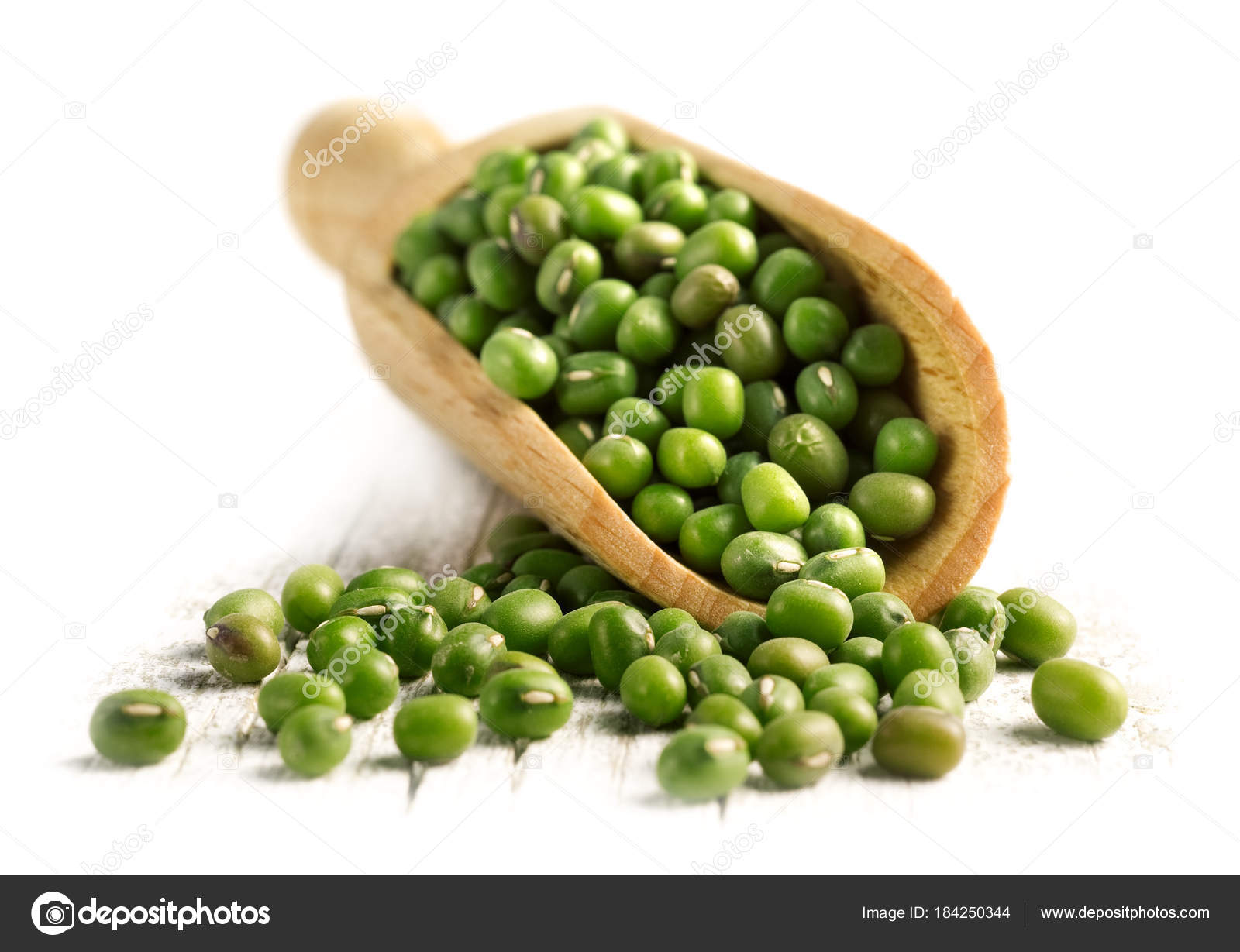 Soya fasulyesi Soya fasulyesi