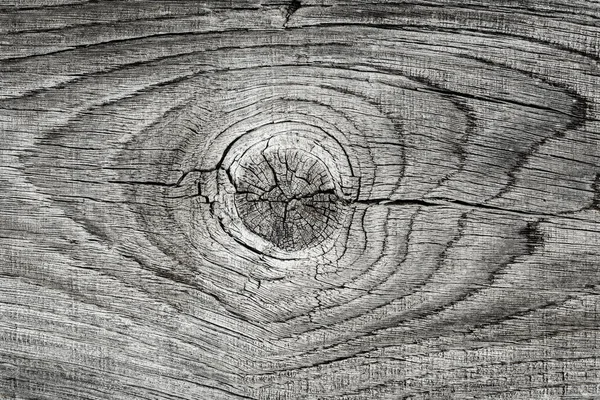 Wood grain close up — Stock Photo, Image