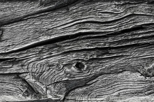 Wood grain close up — Stock Photo, Image