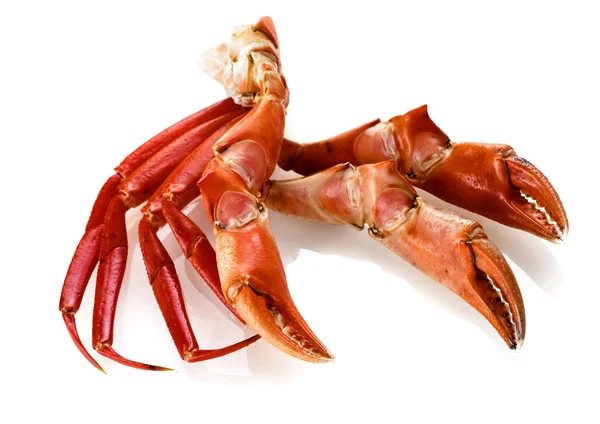 Red king crab legs isolated — Stock Photo, Image