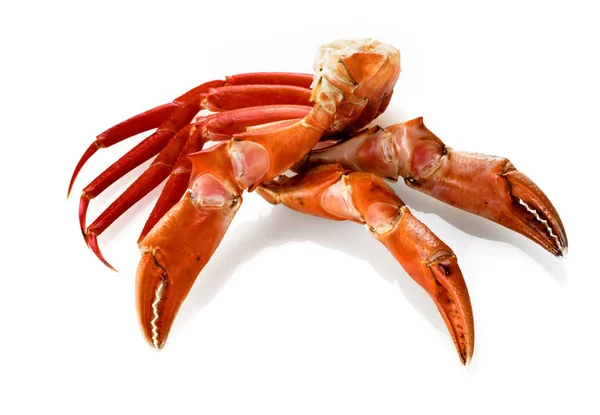 Pattes de crabe royal rouge isolé — Photo