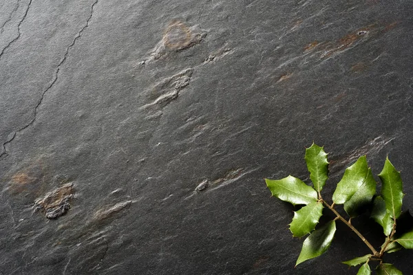 Hojas de encina sobre fondo de pizarra negra — Foto de Stock