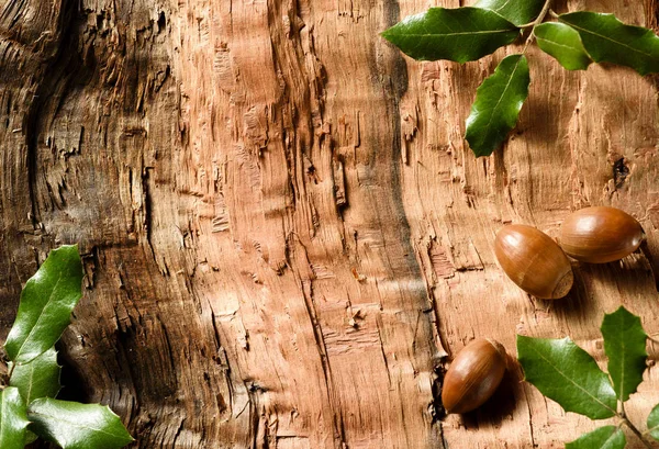 Steeneiken bladeren en eikels op hout textuur achtergrond — Stockfoto