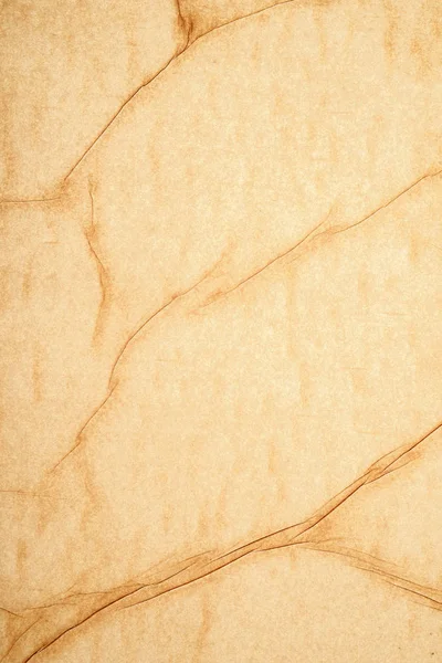Natural parchment surface texture — Stock Photo, Image