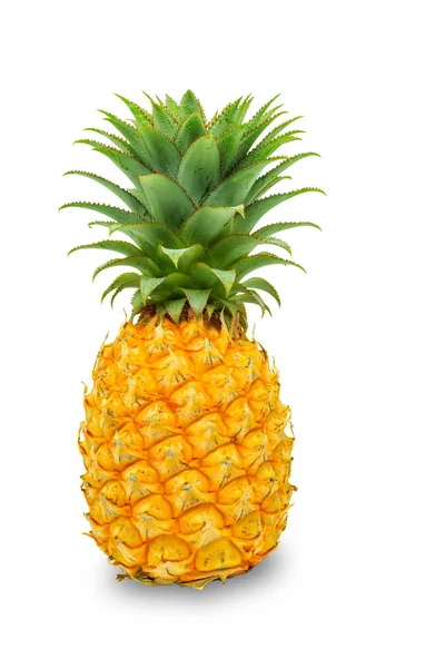 Beyaz izole ananas