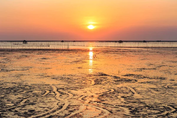 在海边和轮廓壳农场湿地的日落 — 图库照片