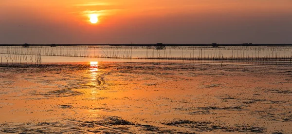 Panorama sunset over sea shore and wetland with silhouette shell