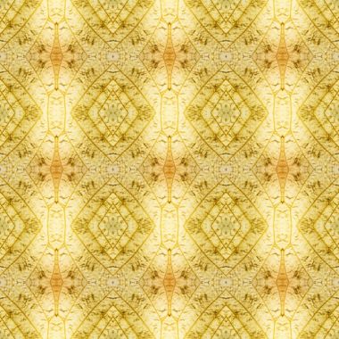 Dikişsiz desen renkli kelebek kanat adam için yapılan