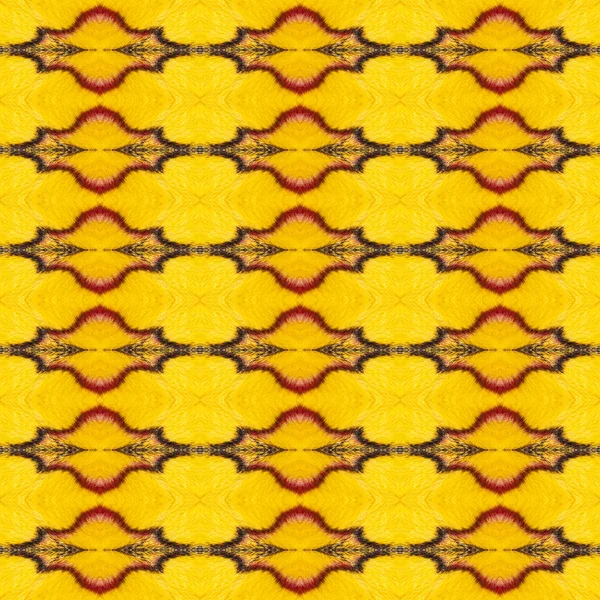 Patrón de textura de amarillo y rojo sikkim ala mariposa de seda (G —  Fotos de Stock
