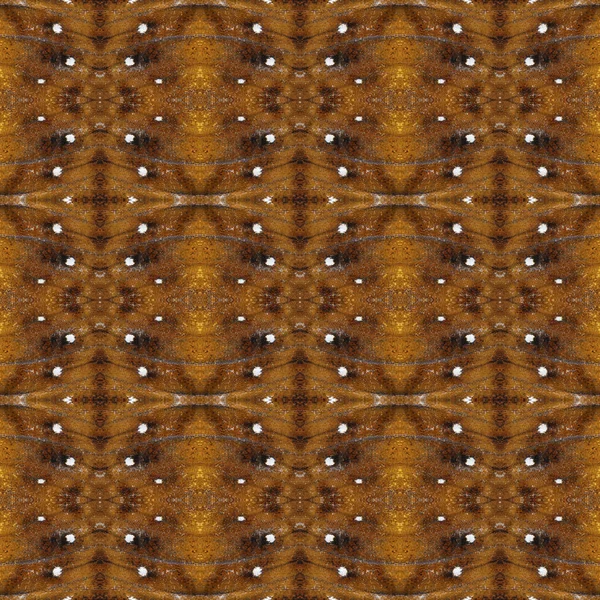 Pattern texture from black siamese prince  butterfly wing for ba — Stock Photo, Image