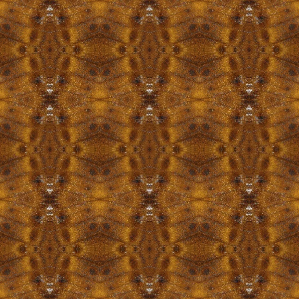 Pattern texture from black siamese prince  butterfly wing for ba — Stock Photo, Image