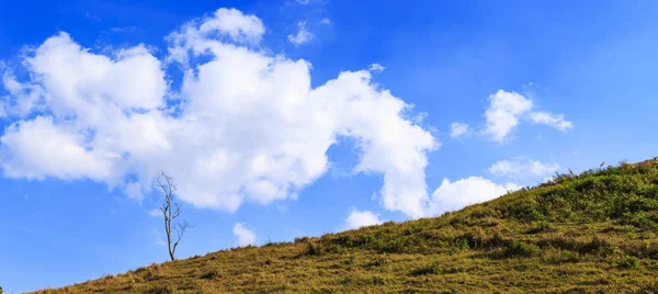 Árbol en la montaña cielo azul blanco y nubes blancas en invierno — Foto de Stock