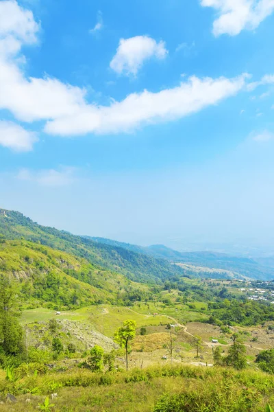 Lahana ve P dağlarda tarım çilek Üstten Görünüm — Stok fotoğraf