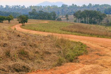 Kırsal S eğrisi yol Tung Salang Luang National Forest Park, inci