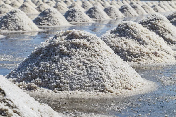 Сира сіль або купа солі з морської води при випаровуванні; ставки на — стокове фото