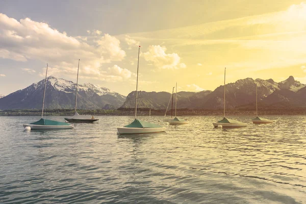 Segelboote im Hafen am Thunersee inmitten der Alpen — Stockfoto