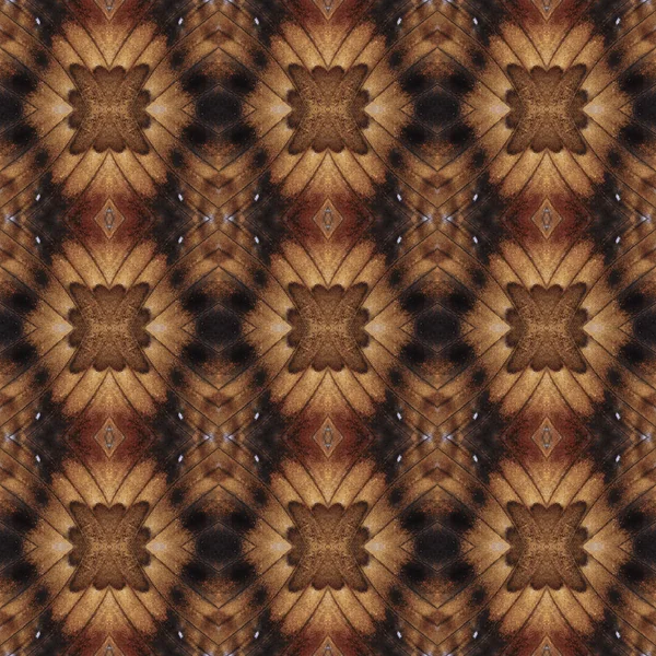Nahtloses Muster aus buntem Schmetterlingsflügel für Backgroun — Stockfoto