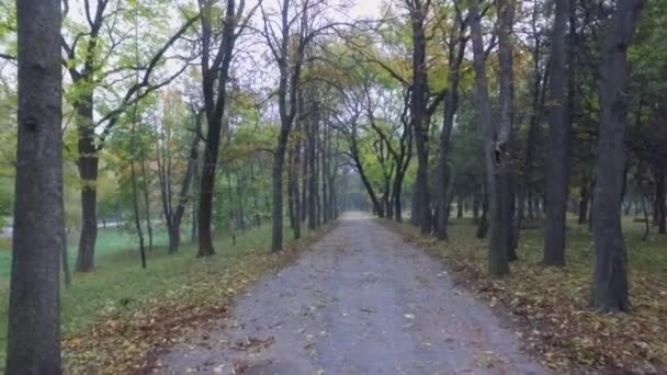Stezka v podzimním městě Park pohybující se kamera — Stock video