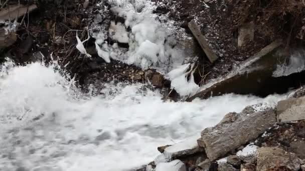 Ruisseau de montagne sale froid à l'automne  