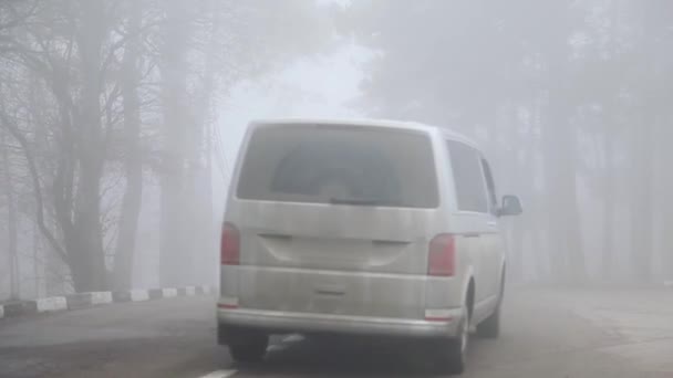 Voiture passe dans le brouillard très épais dans la forêt. concept de mauvaise visibilité sur les routes — Video