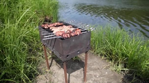 Chargrill con barbacoa en el fondo del lago o río en verano Día soleado — Vídeos de Stock