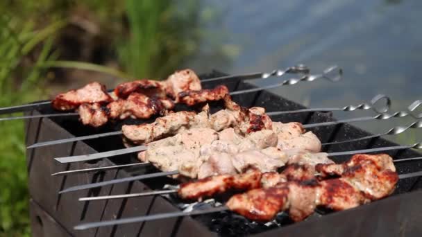 Grill with barbecue on background of body of water, human hand rotates skewers closeup — Stockvideo