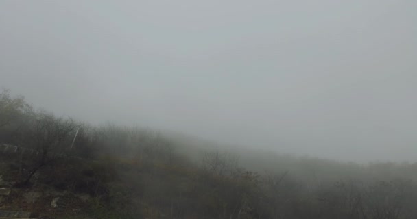 Herfst achtergrond met somber bos naderen op hem mist of wolk in de berg — Stockvideo