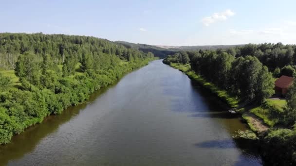 Повітряний політ над річкою в лісі в сонячний літній день — стокове відео