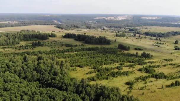 Imagens aéreas de campo no meio da floresta no dia ensolarado de verão — Vídeo de Stock